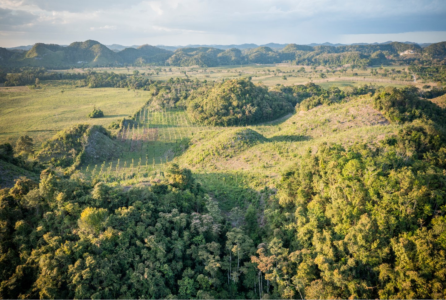 Las Azucenas Biosphere